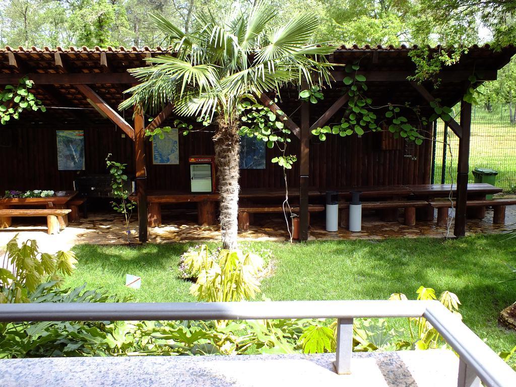 Aqua Family Apartments 卡里高多 客房 照片